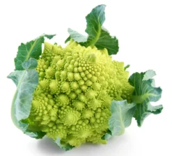 Romanesco, 6er Schale