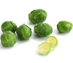 Rosenkohl, 12er Schale