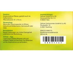 Rote Bete, Rote Rübe, bunt, 12er Schale