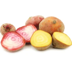Rote Bete, Rote Rübe, bunt, 12er Schale