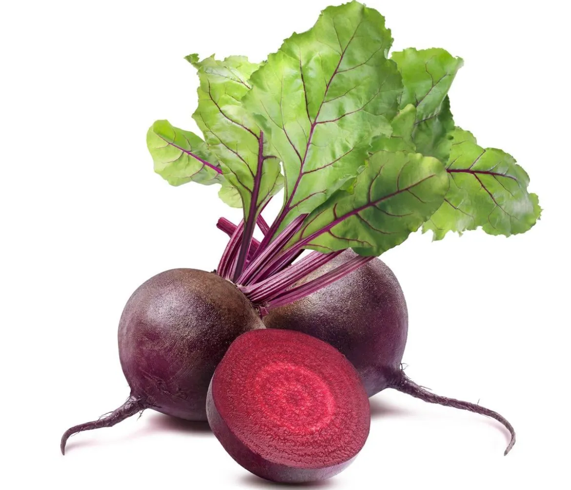 Rote Bete, Rote Rüben, 12er Schale