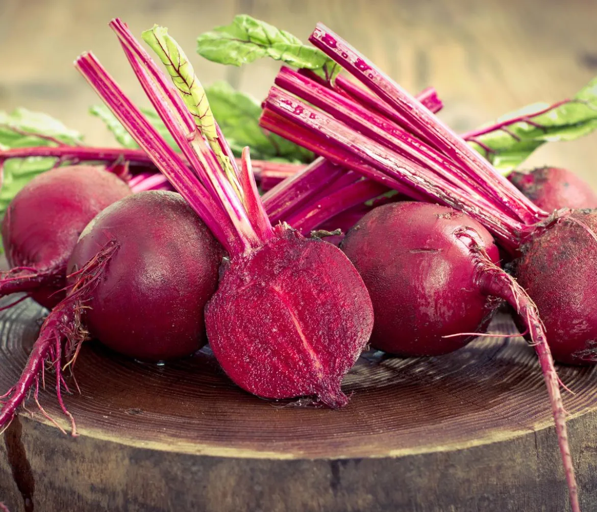 Rote Bete, Rote Rüben, 12er Schale