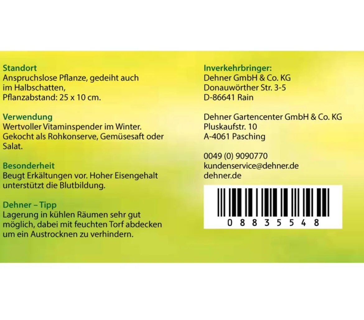 Rote Bete, Rote Rüben, 12er Schale
