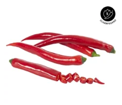 Rote Peperoni, scharf