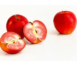 Rotfleischiger Apfel 'Baya Marisa'