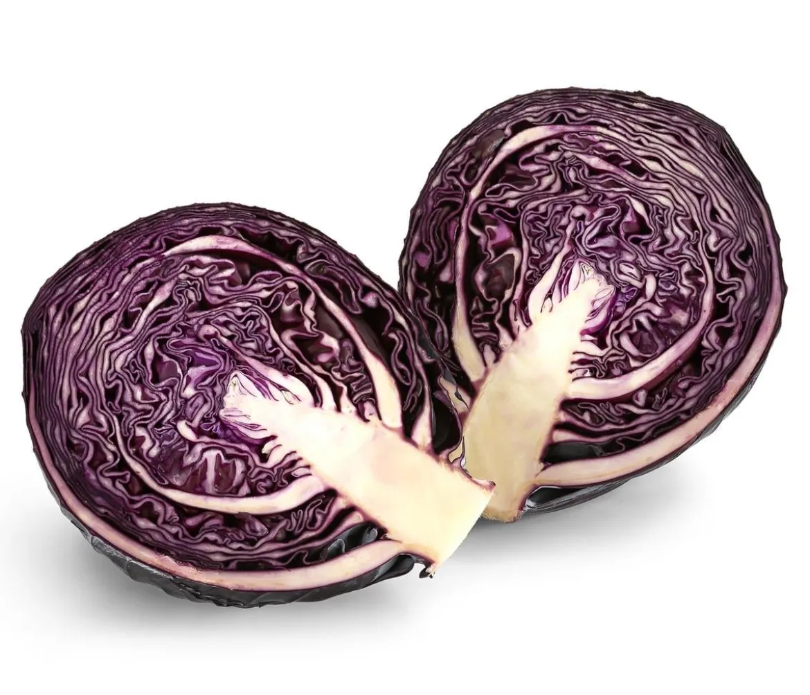 Rotkohl, 6er Schale