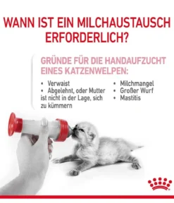ROYAL CANIN® Babycat Milk, 300 g