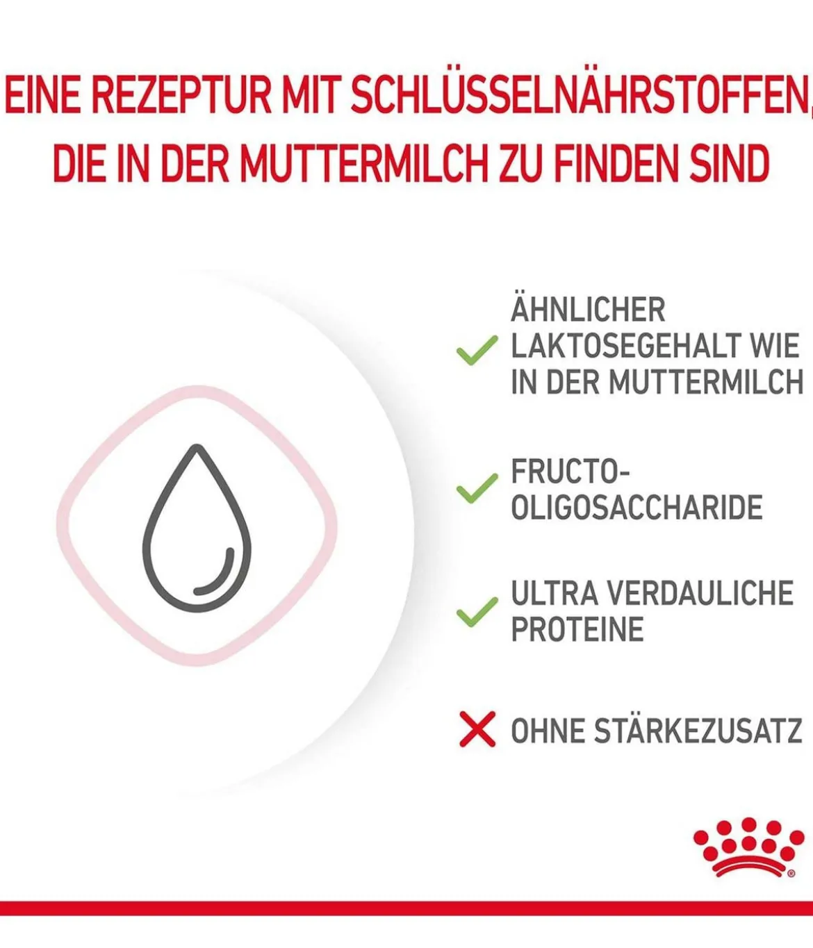 ROYAL CANIN® Babycat Milk, 300 g