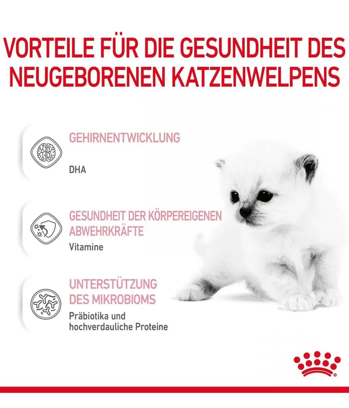 ROYAL CANIN® Babycat Milk, 300 g