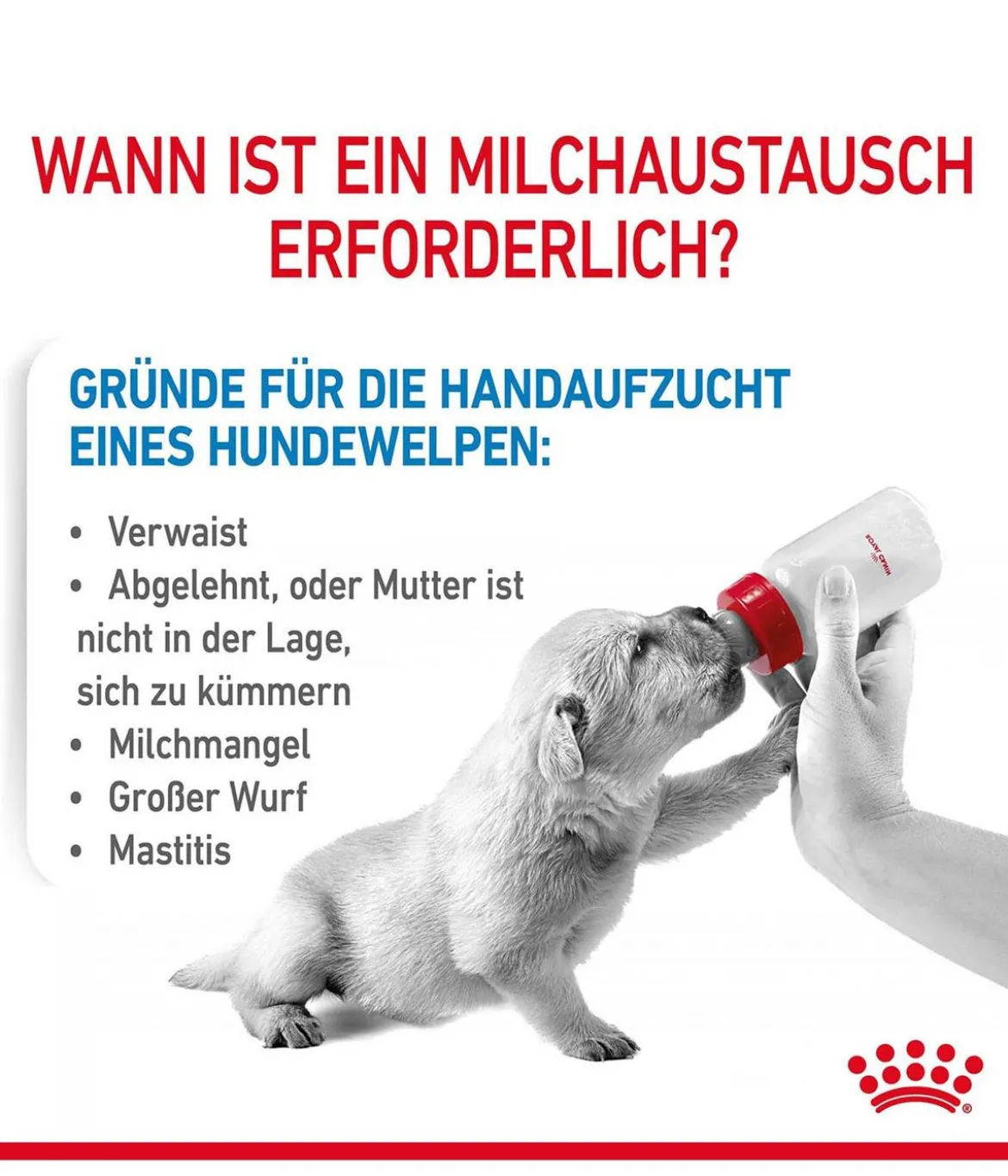 ROYAL CANIN® Babydog Milk
