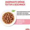 ROYAL CANIN® Nassfutter für Katzen Kitten in Soße, 12 x 85 g