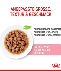 ROYAL CANIN® Nassfutter für Katzen Kitten in Soße, 12 x 85 g