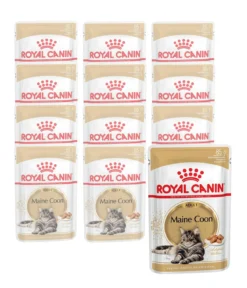 ROYAL CANIN® Nassfutter für Katzen Maine Coon Adult in Soße, 12 x 85 g