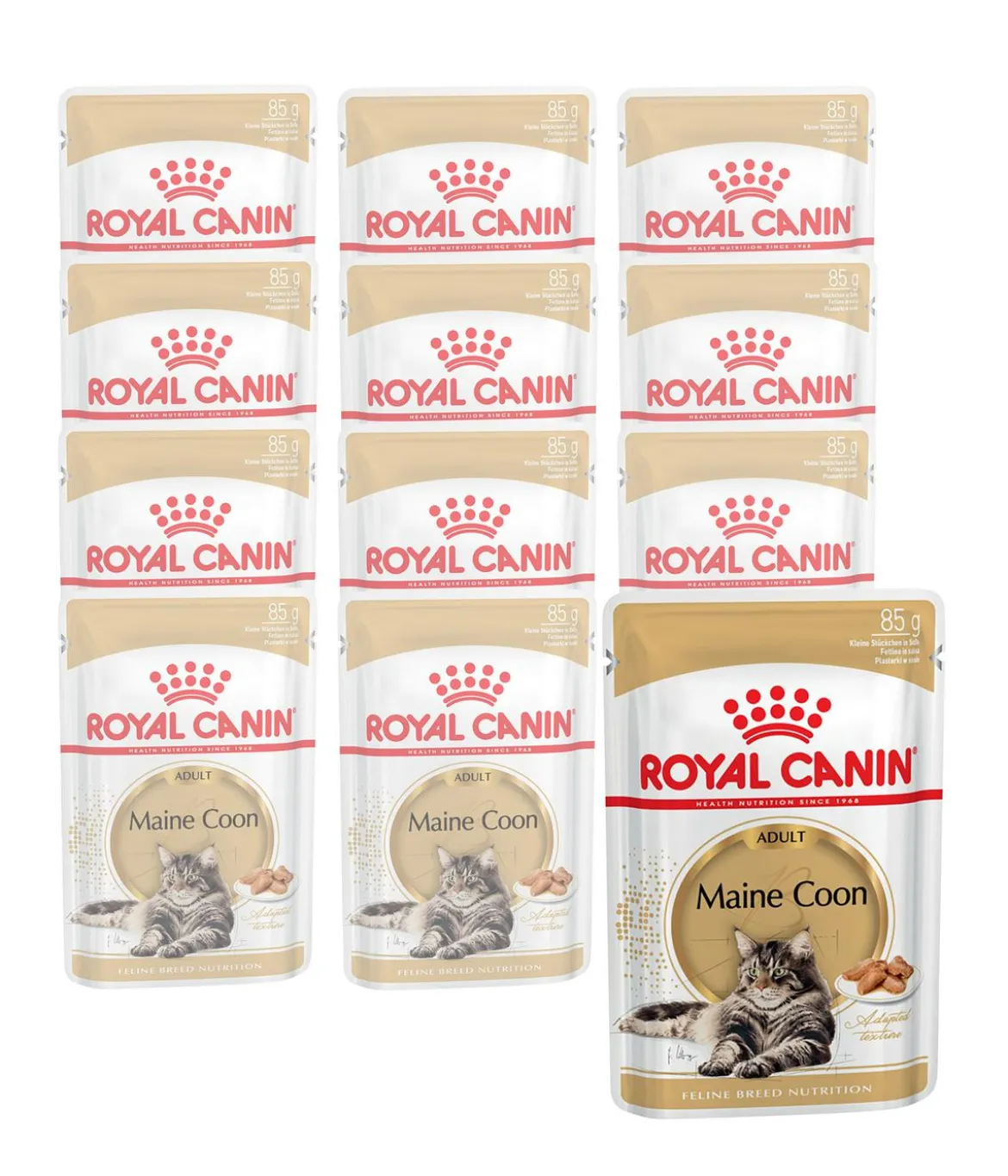 ROYAL CANIN® Nassfutter für Katzen Maine Coon Adult in Soße, 12 x 85 g