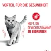 ROYAL CANIN® Nassfutter für Katzen Light Weight Care in Soße, 12 x 85 g