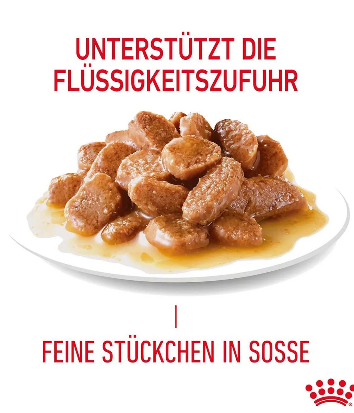 ROYAL CANIN® Nassfutter für Katzen Light Weight Care in Soße, 12 x 85 g
