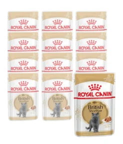 ROYAL CANIN® Nassfutter für Katzen British Shorthair in Soße, 12 x 85 g