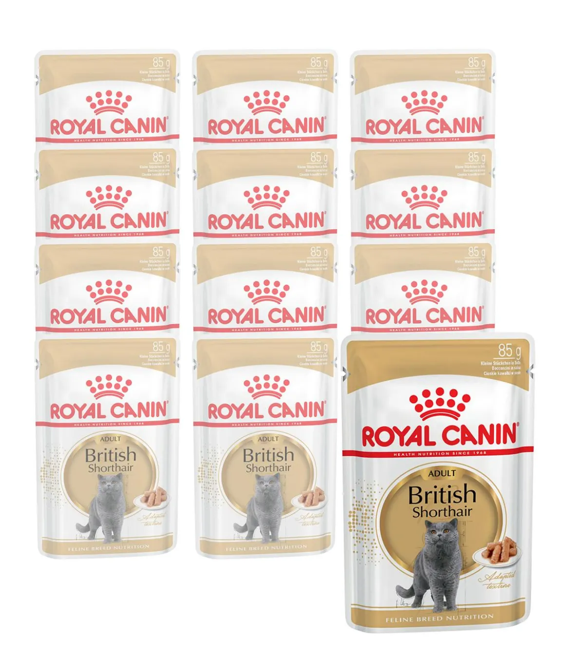 ROYAL CANIN® Nassfutter für Katzen British Shorthair in Soße, 12 x 85 g