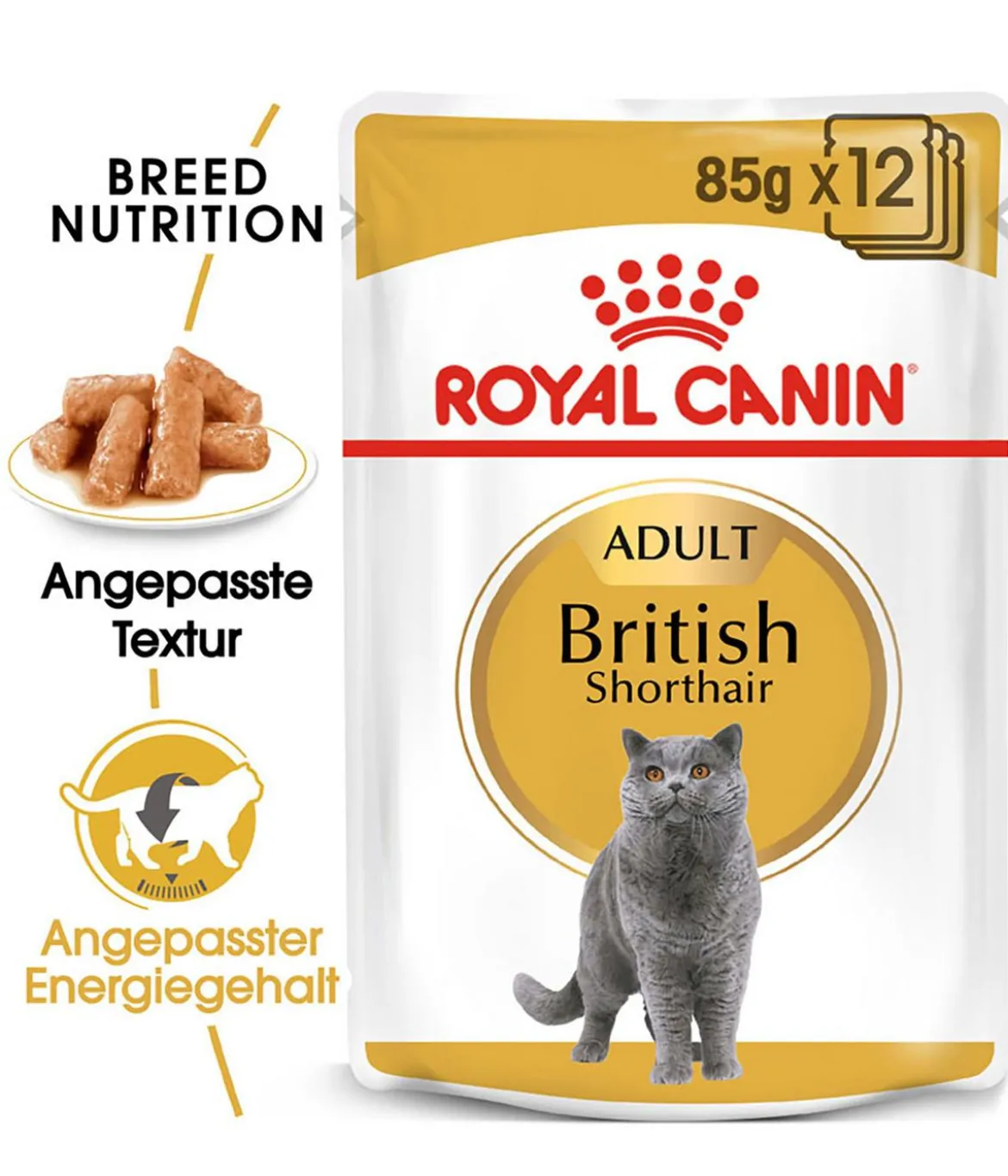 ROYAL CANIN® Nassfutter für Katzen British Shorthair in Soße, 12 x 85 g