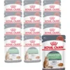 ROYAL CANIN® Nassfutter für Katzen Digestive Care in Soße, 12 x 85 g
