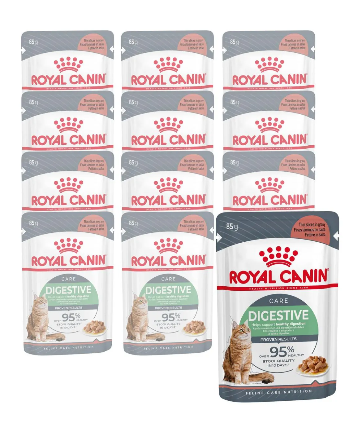 ROYAL CANIN® Nassfutter für Katzen Digestive Care in Soße, 12 x 85 g