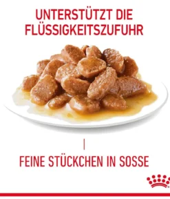 ROYAL CANIN® Nassfutter für Katzen Digestive Care in Soße, 12 x 85 g