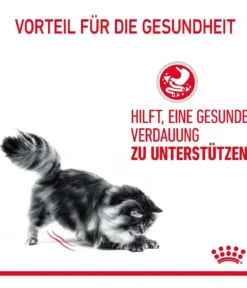 ROYAL CANIN® Nassfutter für Katzen Digestive Care in Soße, 12 x 85 g