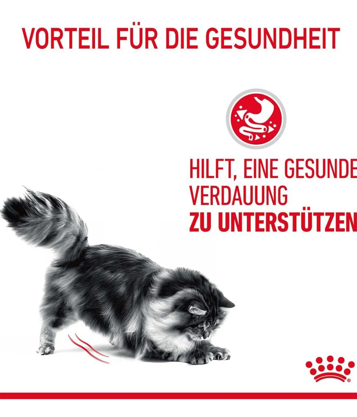 ROYAL CANIN® Nassfutter für Katzen Digestive Care in Soße, 12 x 85 g