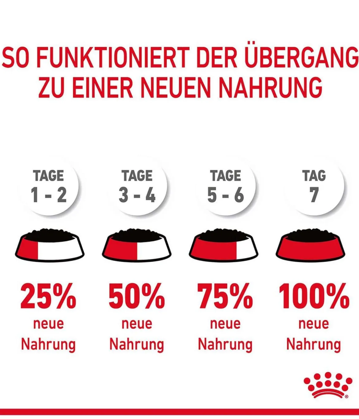 ROYAL CANIN® Nassfutter für Katzen Digestive Care in Soße, 12 x 85 g