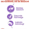 ROYAL CANIN® Nassfutter für Katzen Sterilised in Soße, 12 x 85 g