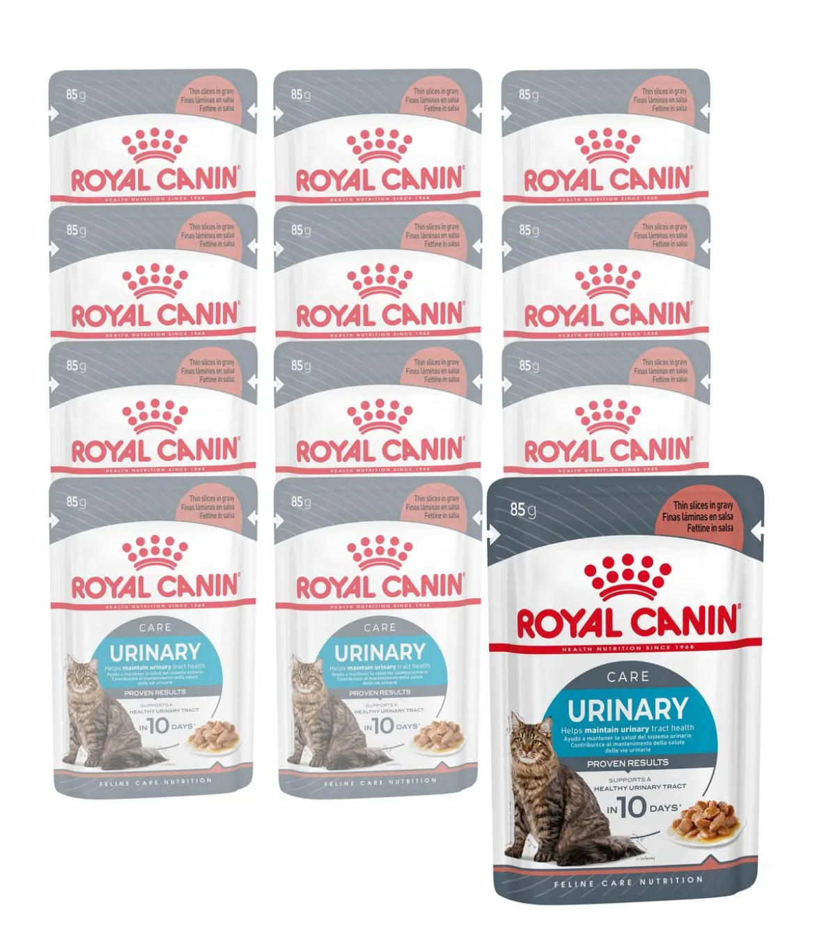 ROYAL CANIN® Nassfutter für Katzen Urinary Care in Soße, 12 x 85 g