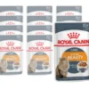 Royal Canin Nassfutter Intense Beauty, 12 x 85g