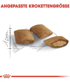 ROYAL CANIN® Trockenfutter für Katzen Ageing 12+ Senior