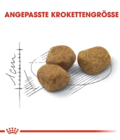 ROYAL CANIN® Trockenfutter für Katzen Indoor 7+