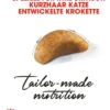 ROYAL CANIN® Trockenfutter für Katzen British Shorthair Kitten