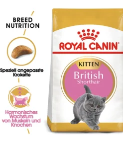 ROYAL CANIN® Trockenfutter für Katzen British Shorthair Kitten