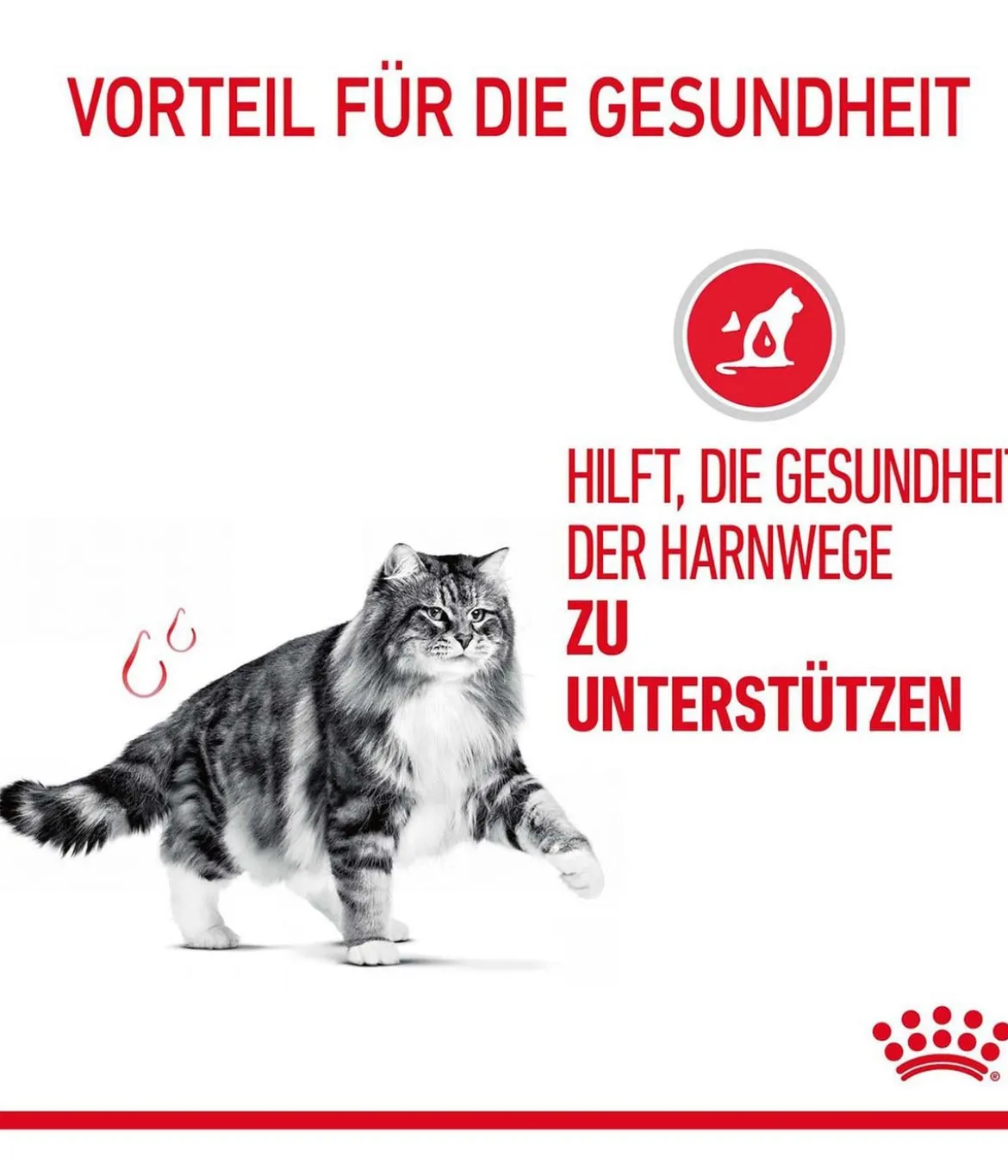 ROYAL CANIN® Trockenfutter für Katzen Urinary Care