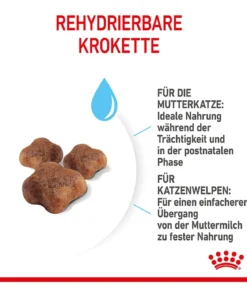 ROYAL CANIN® Trockenfutter für Katzen Mother & Babycat