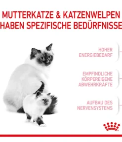 ROYAL CANIN® Trockenfutter für Katzen Mother & Babycat