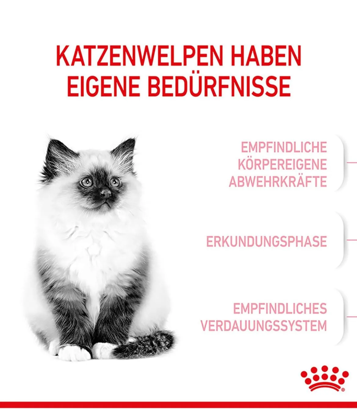 ROYAL CANIN® Trockenfutter für Katzen Kitten