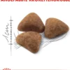 ROYAL CANIN® Trockenfutter für Katzen Indoor