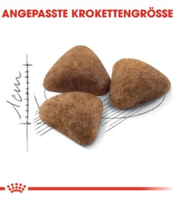 ROYAL CANIN® Trockenfutter für Katzen Indoor