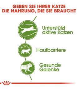 ROYAL CANIN® Trockenfutter für Katzen Outdoor