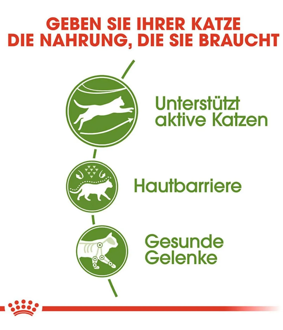 ROYAL CANIN® Trockenfutter für Katzen Outdoor