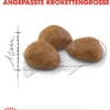 ROYAL CANIN® Trockenfutter für Katzen Outdoor 7+