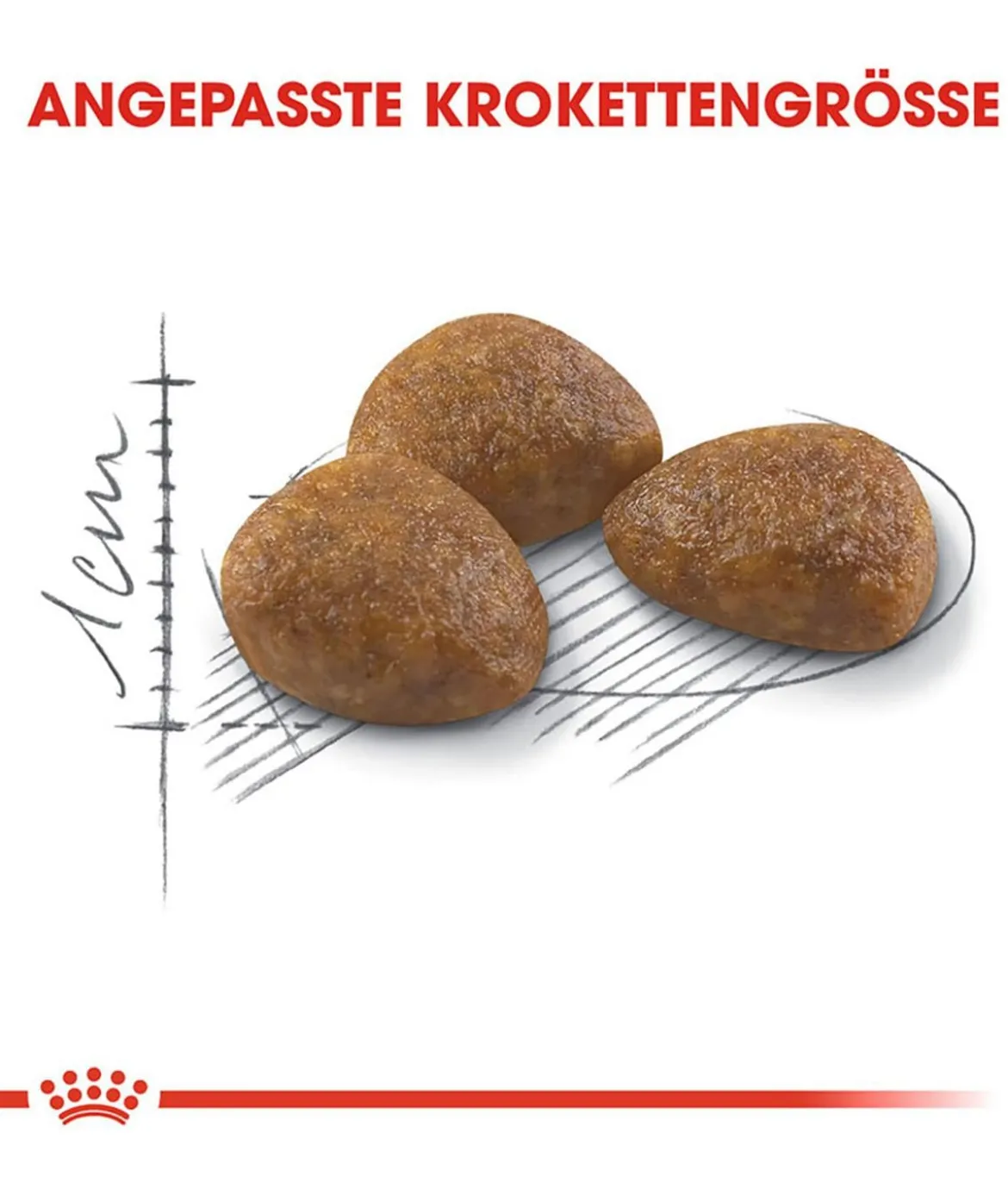 ROYAL CANIN® Trockenfutter für Katzen Outdoor 7+