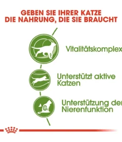 ROYAL CANIN® Trockenfutter für Katzen Outdoor 7+