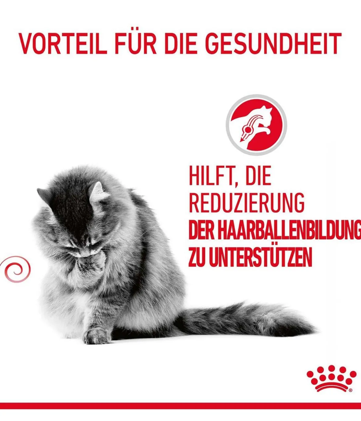 ROYAL CANIN® Trockenfutter für Katzen Hairball Care