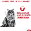ROYAL CANIN® Trockenfutter für Katzen Dental Care