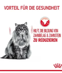 ROYAL CANIN® Trockenfutter für Katzen Dental Care